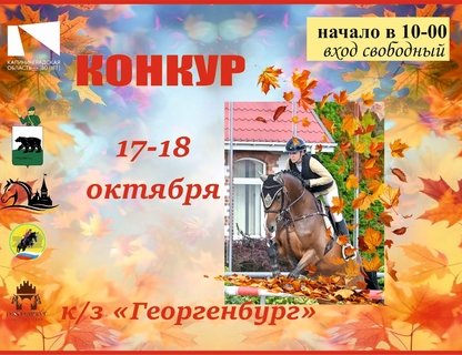 Соревнования по конкуру