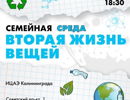 «Семейная среда: вторая жизнь вещей»