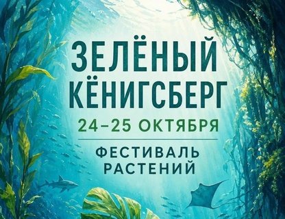 Фестиваль «Зелёный Кёнигсберг»