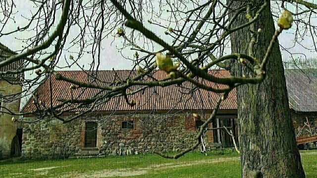 Туристы, рыцари и реконструкция: в Черняховске состоится открытая встреча с представителями 10 старинных замков