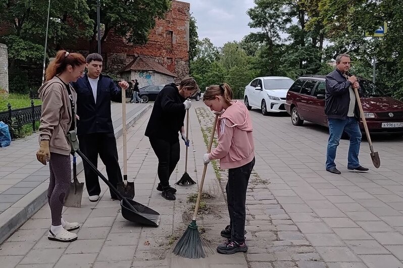 Покрасили, подмели и разобрали место под огород: 180 «Томов Сойеров» помогли привести в порядок замок в Черняховске - Новости Калининграда | Фото: сообщество «Замок Инстербург» / «ВКонтакте»